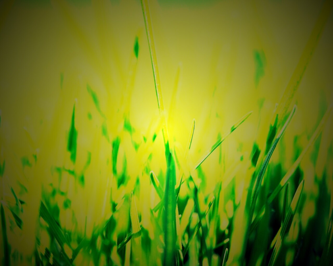Ярко зеленая трава обои