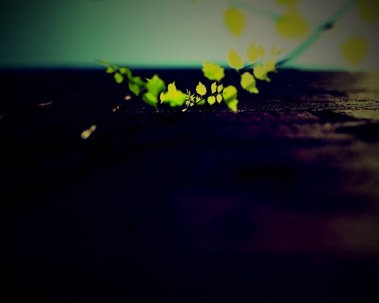 Зеленые ростки в стене обои