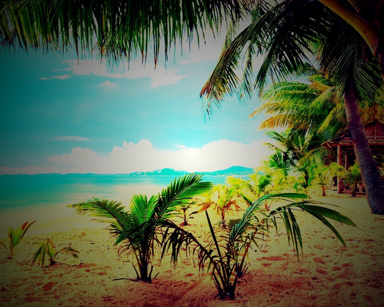 Настоящее лето обои