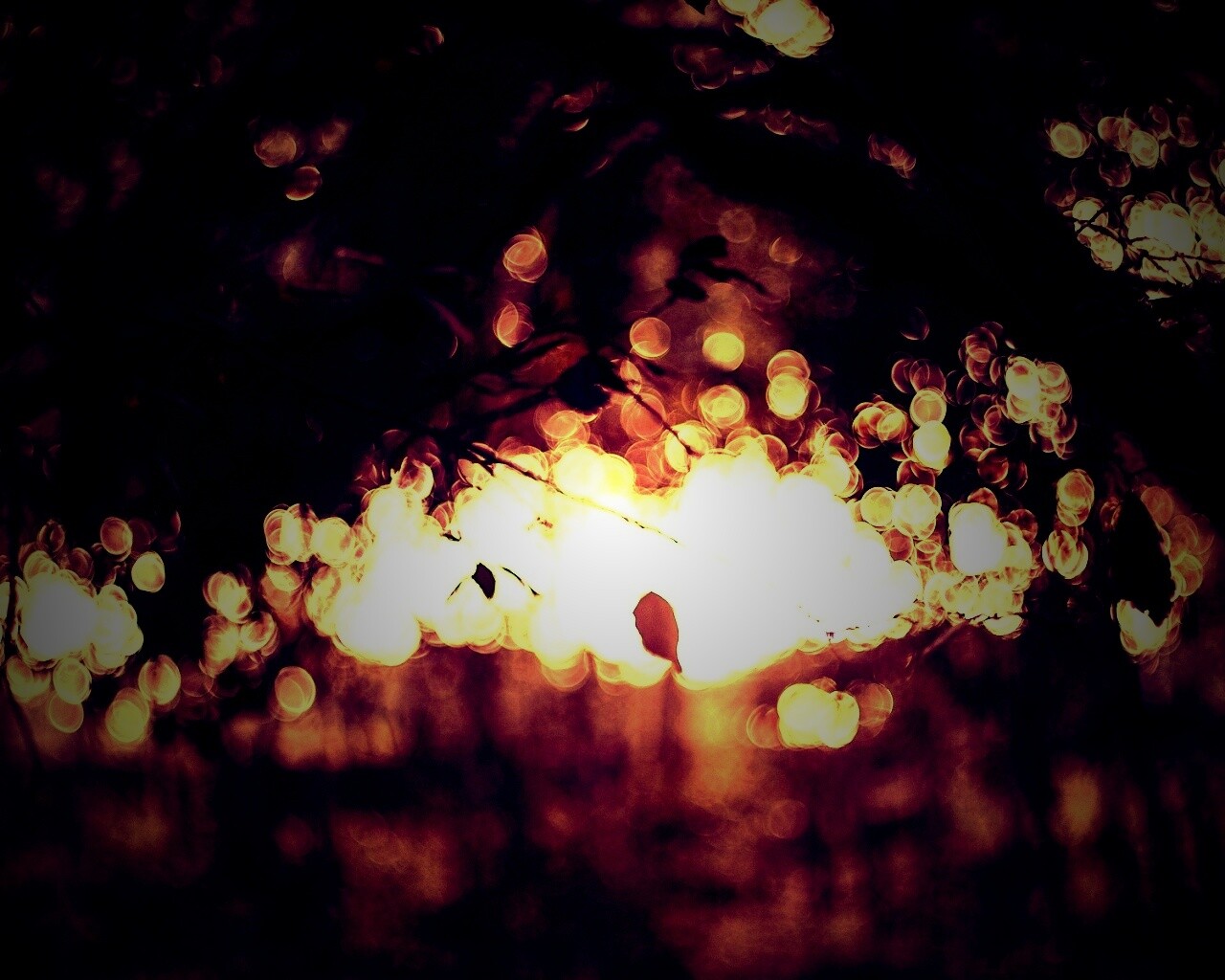 Размытый свет в парке обои