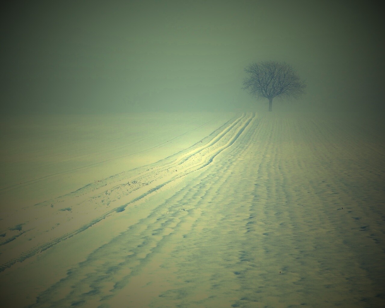 Заснеженное поле обои