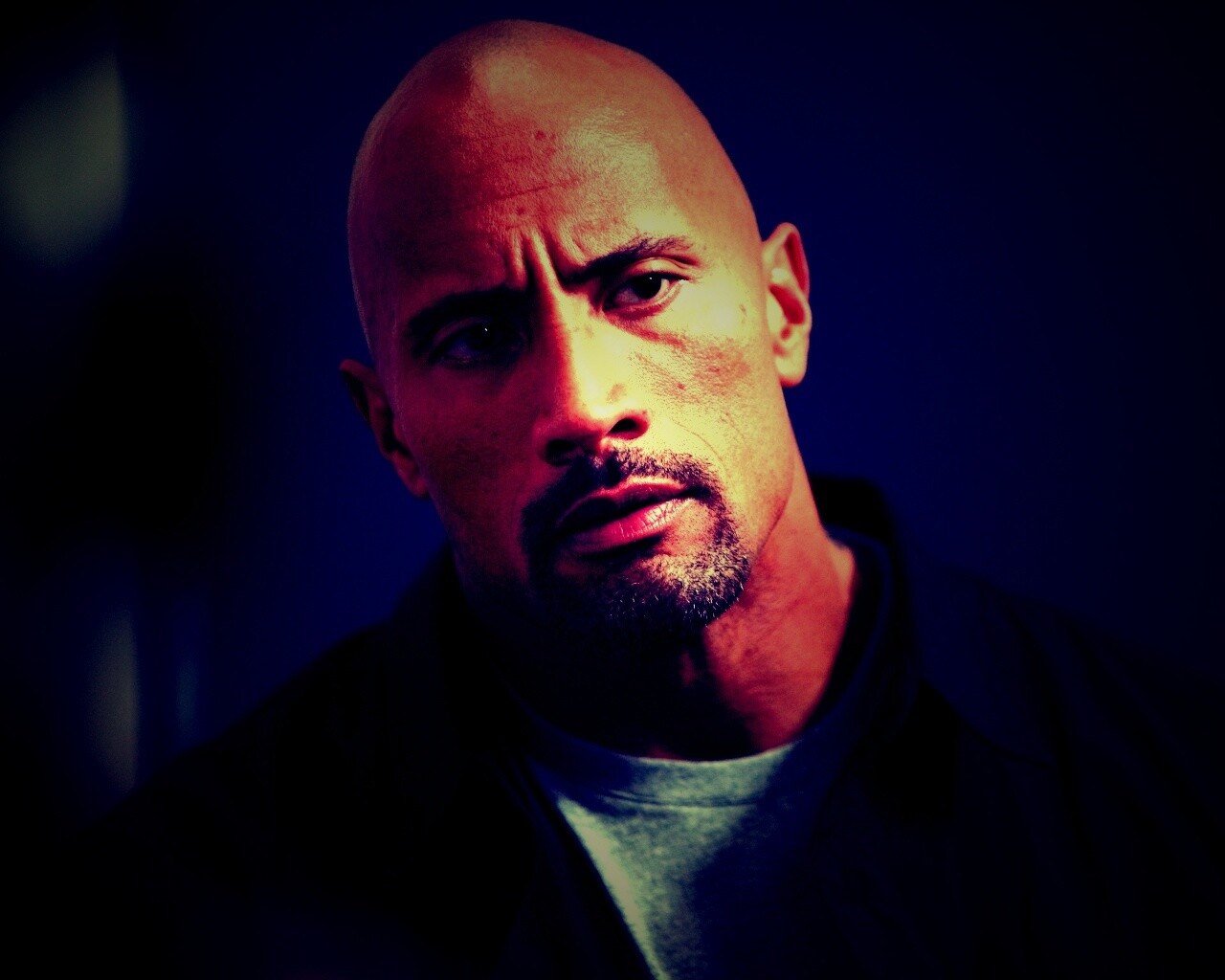 Dwayne johnson, Actor, Bald, Hair, Celebrity обои