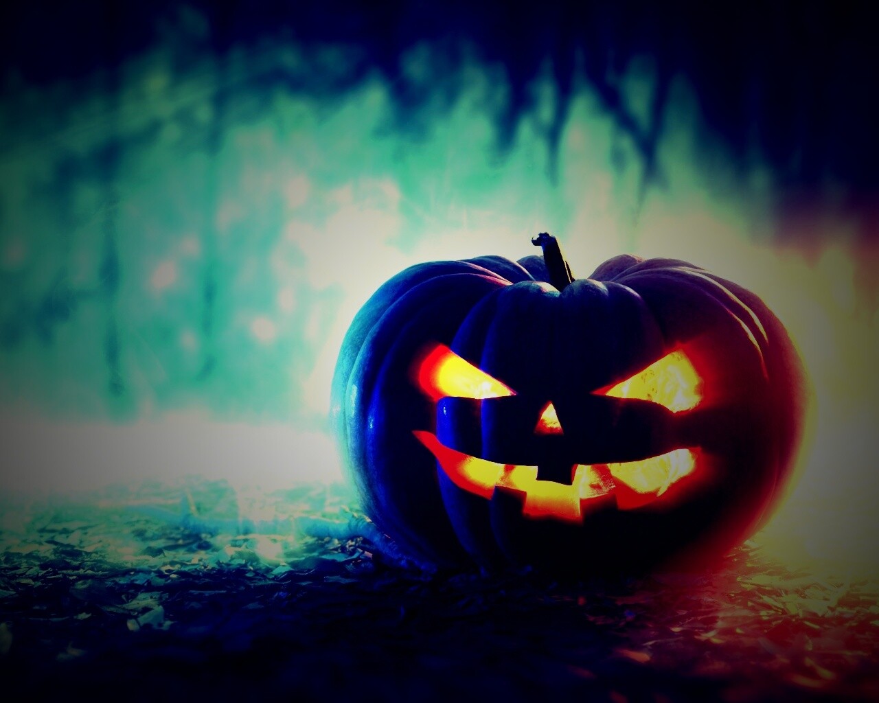 Хэллоуинская тыква обои