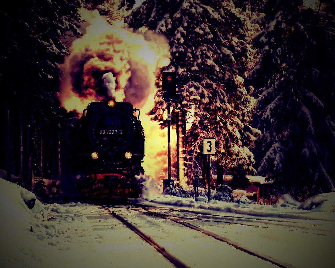 Паровоз в димнем лесу обои