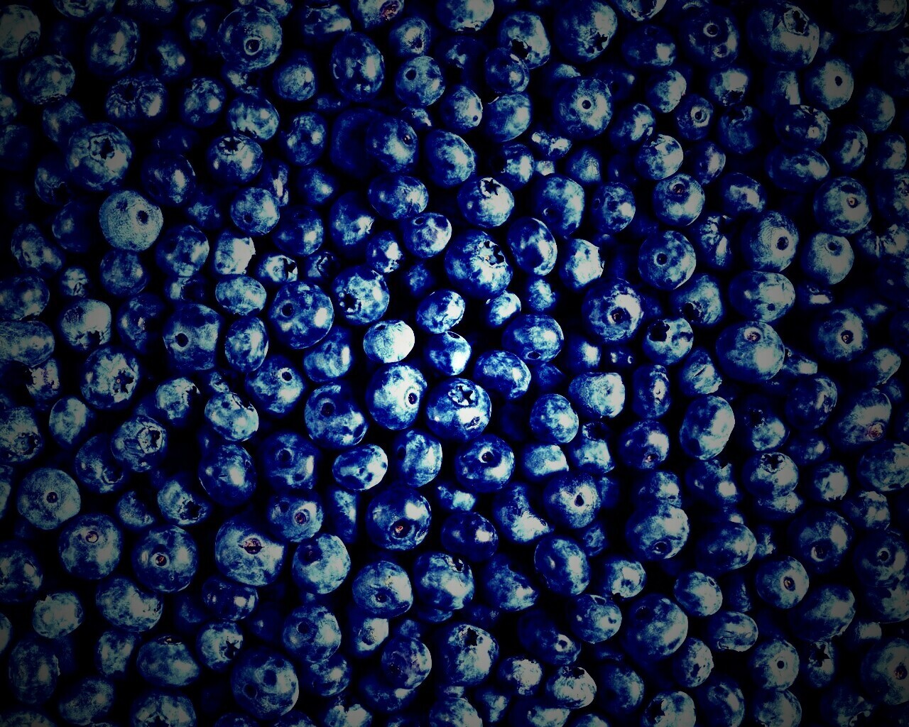 Черника обои