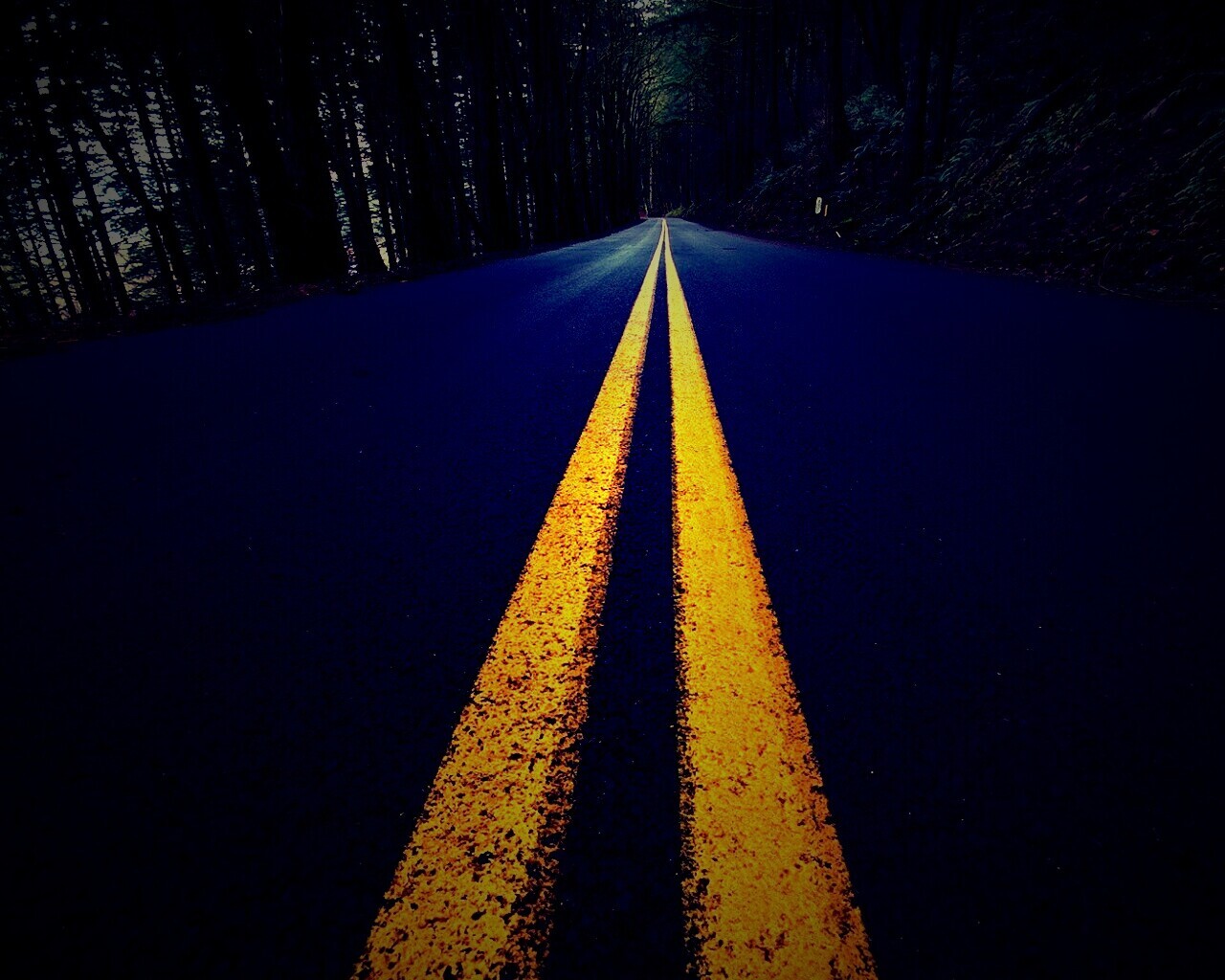 Дорога в лесу обои