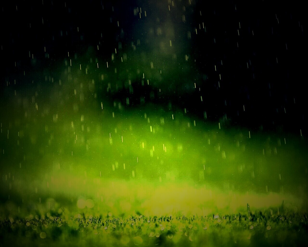 Трава под дождем обои
