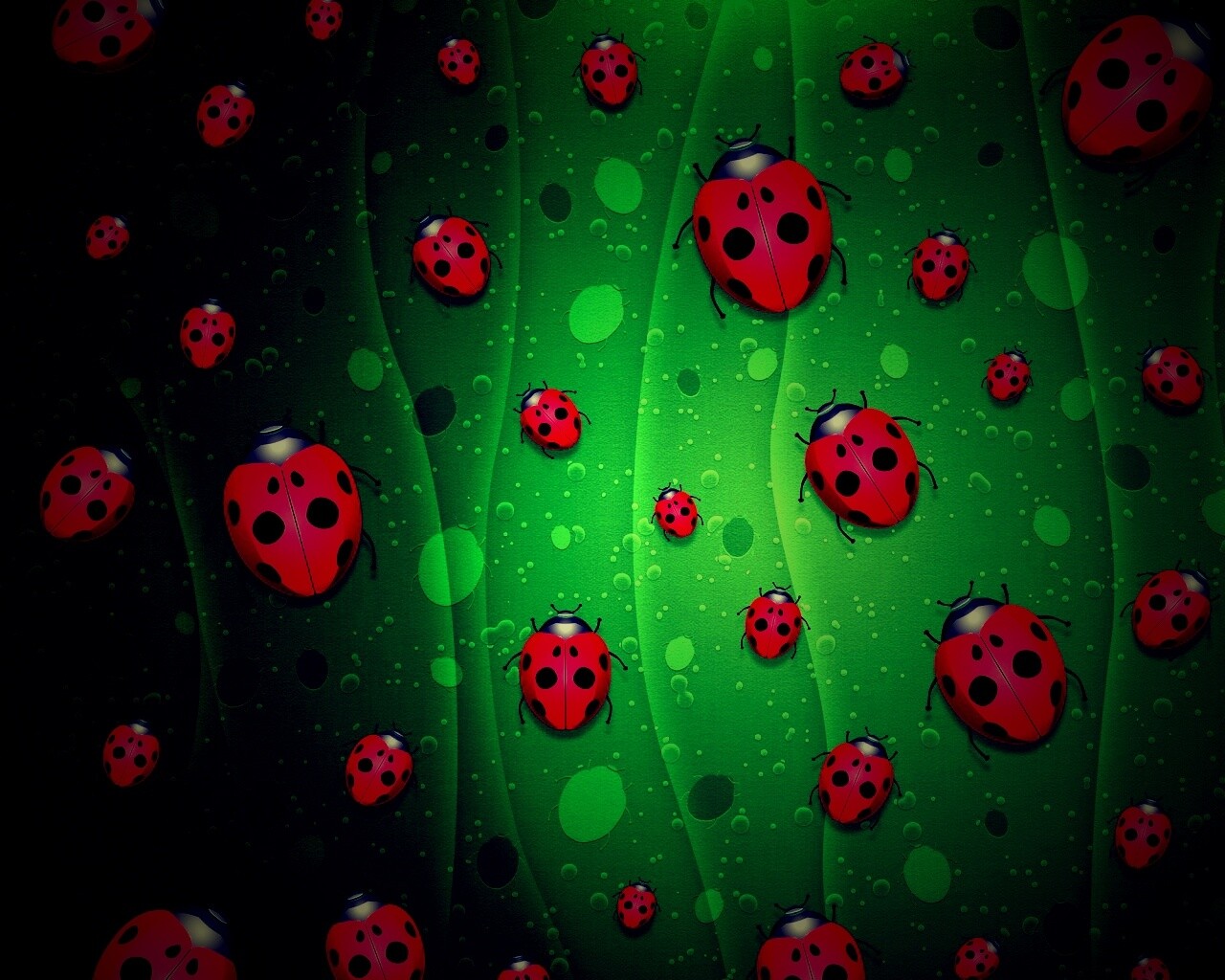 Божьи коровки обои