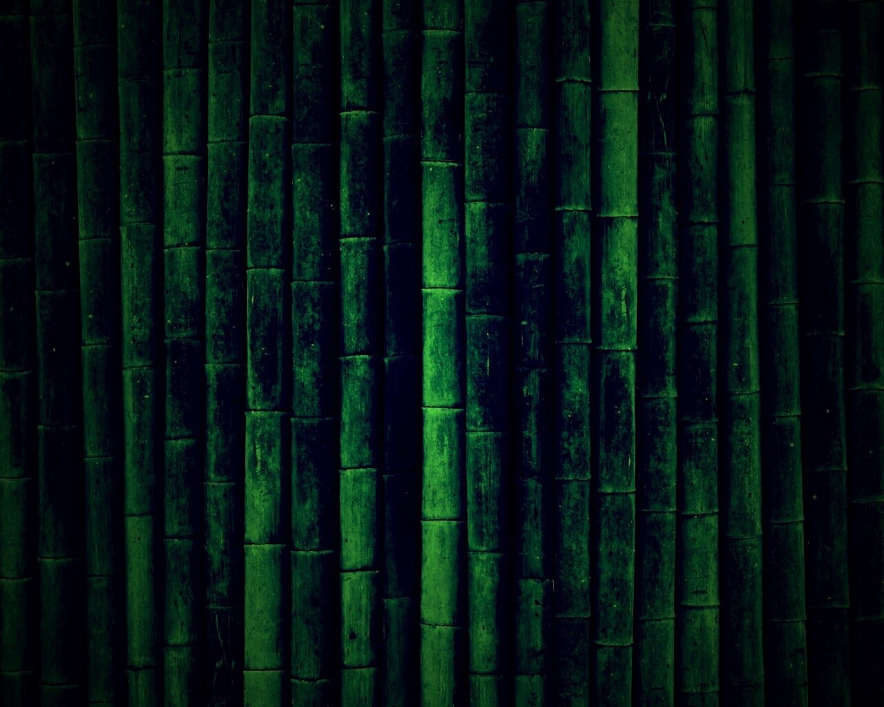 Бамбук обои