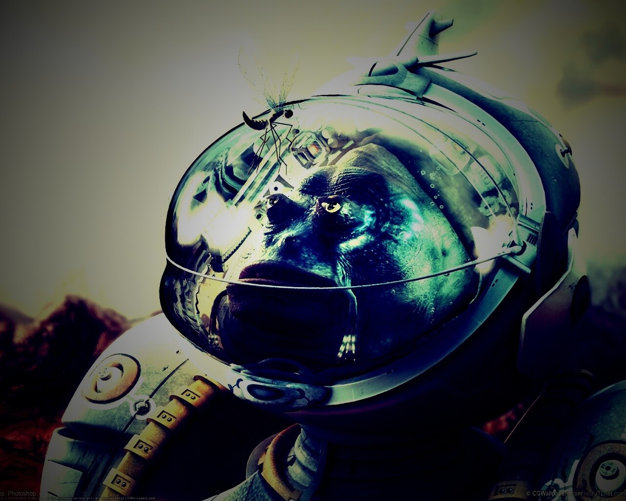 Инопланетянин и стрекоза обои