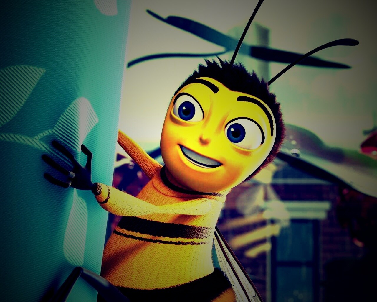 Бимуви обои