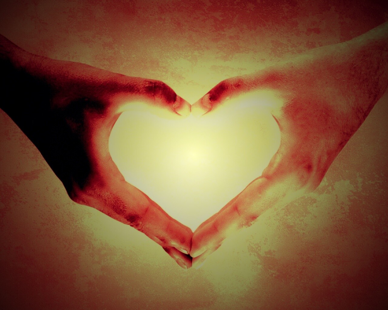 Сердце из сложенных рук обои