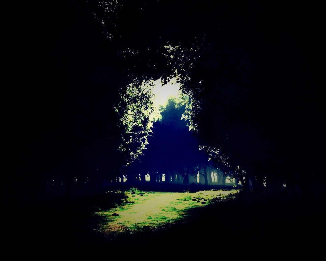 Сумерки в волшебном лесу обои