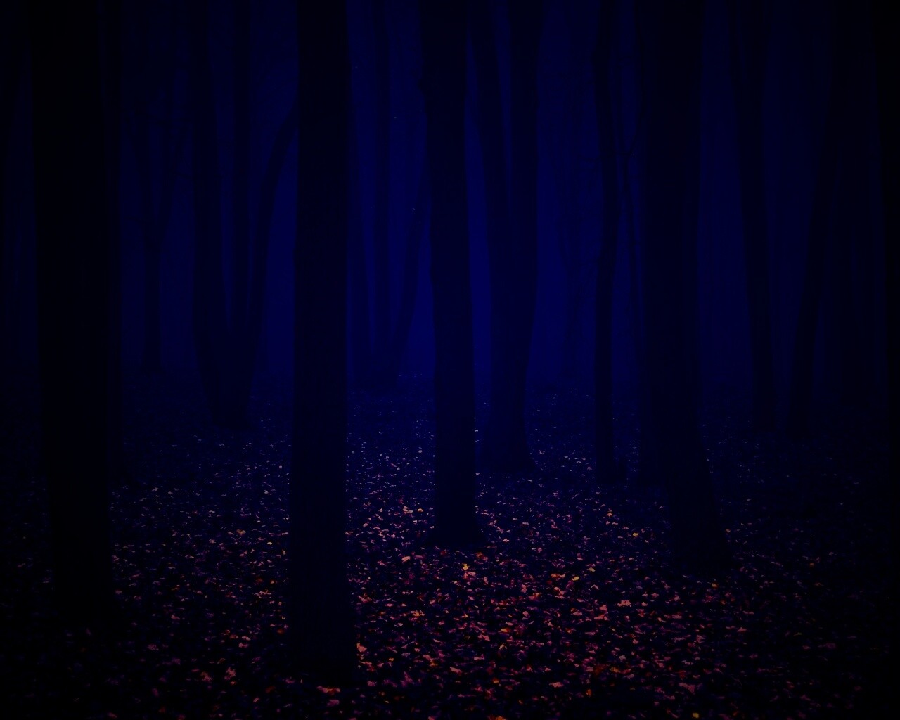 Таинственный лес обои