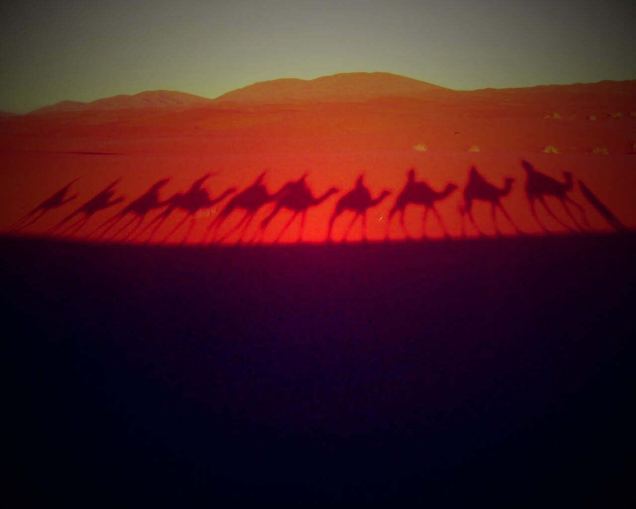 Караван обои