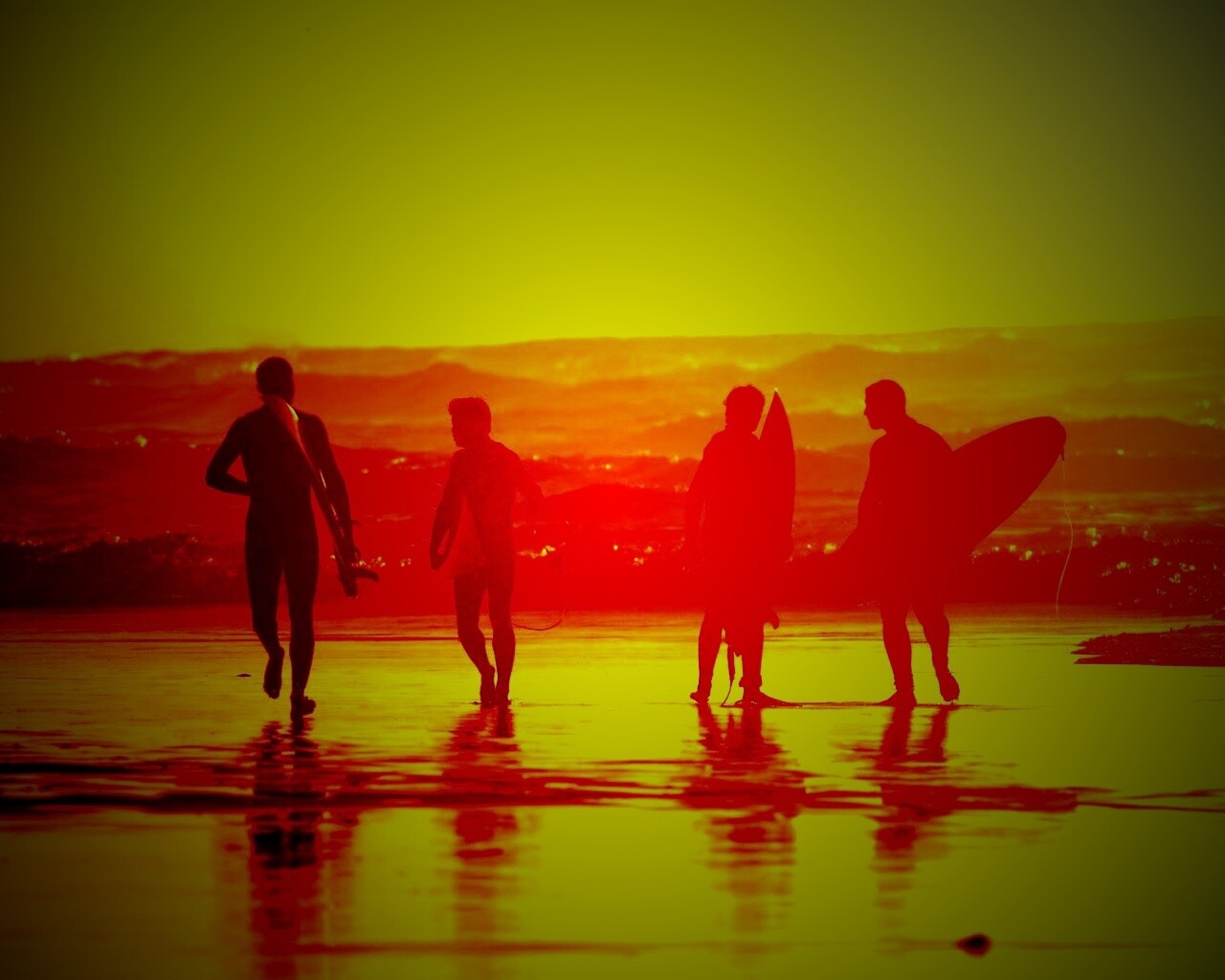 Серфингисты обои