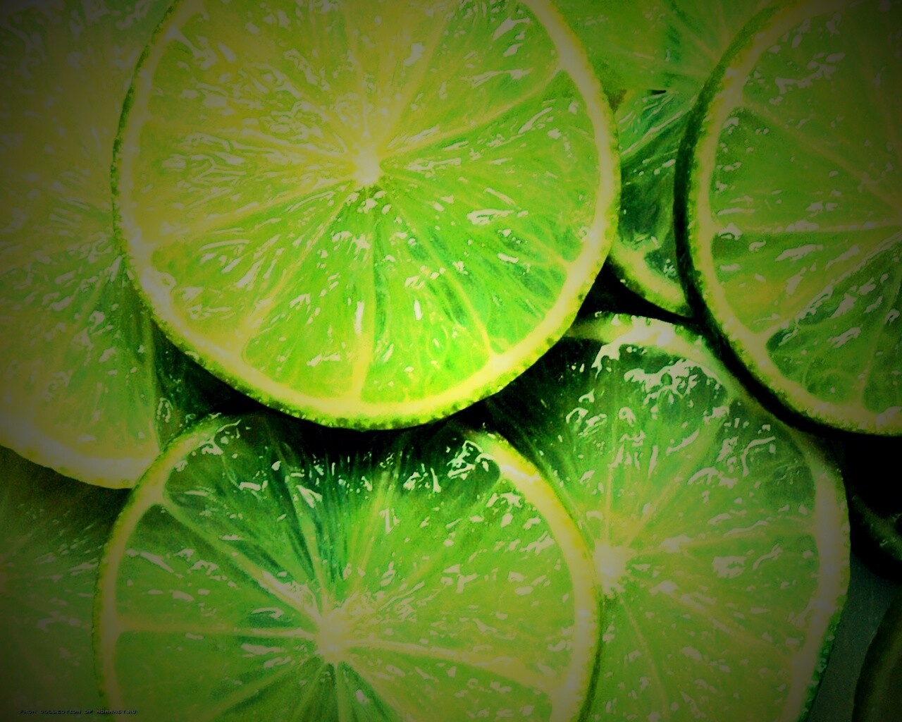 Зеленый лайм обои