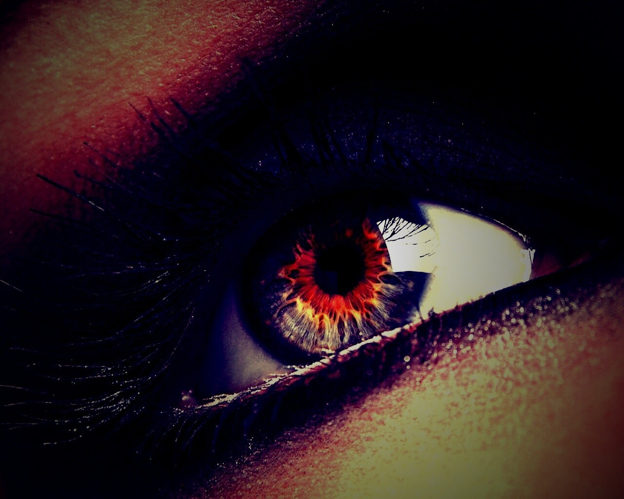 Оранжевый глаз обои