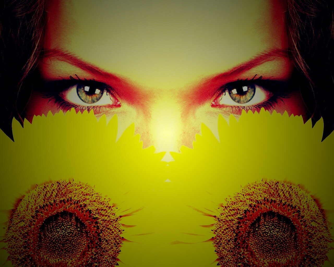 Девушка с желтыми ромашками обои