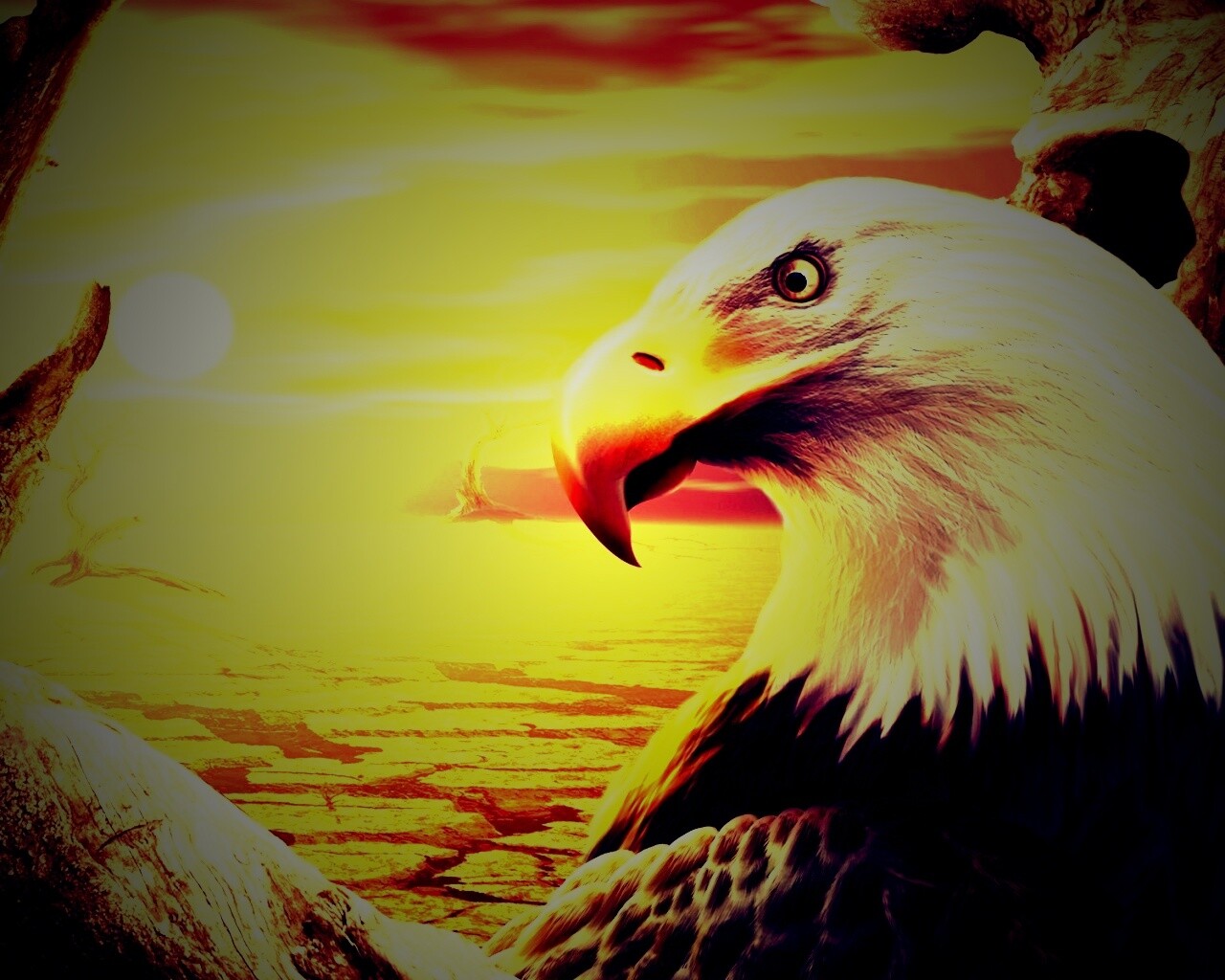 Нарисованный орел обои