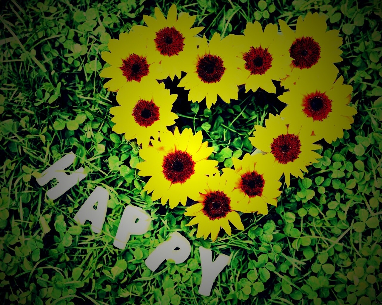 Радость обои