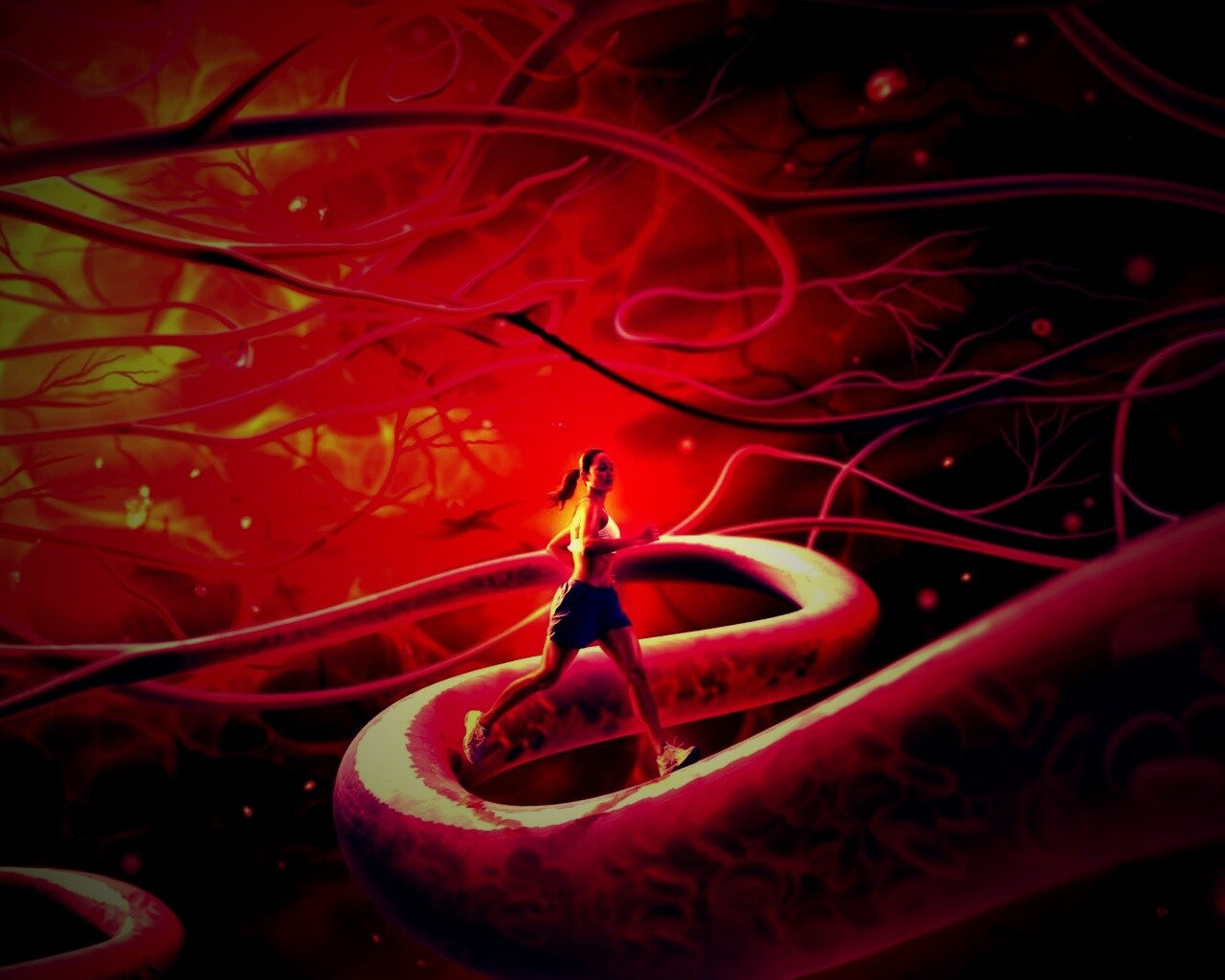 Бег крови обои