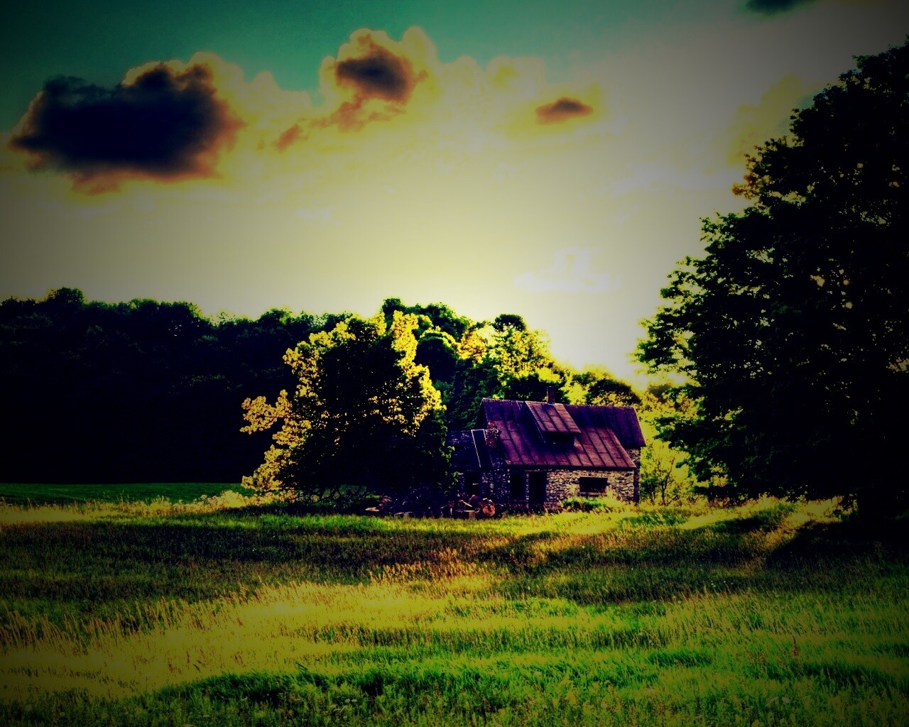 Домик в лесу обои