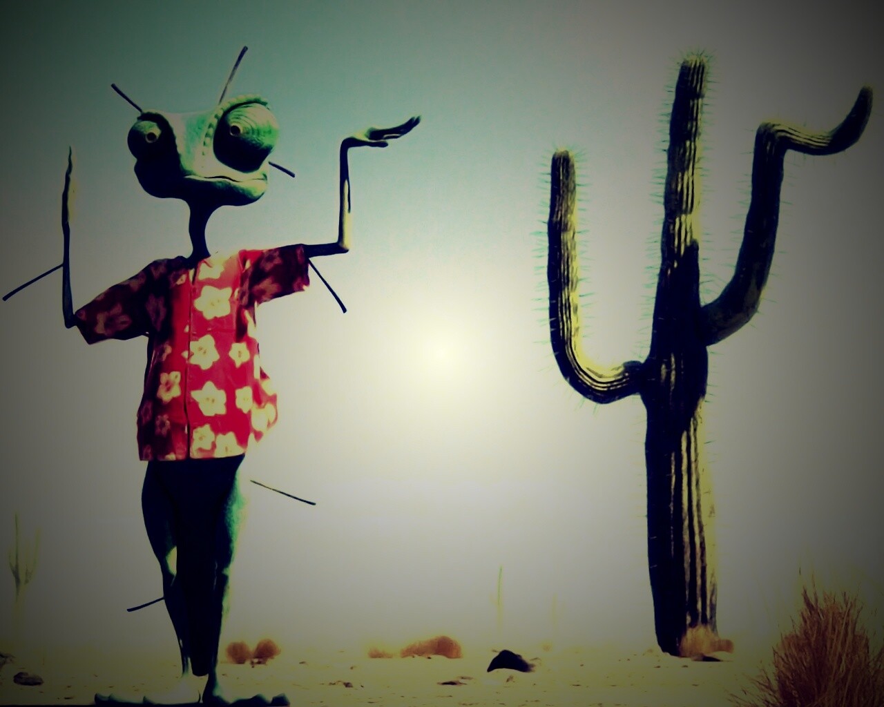 Ранго и кактус обои