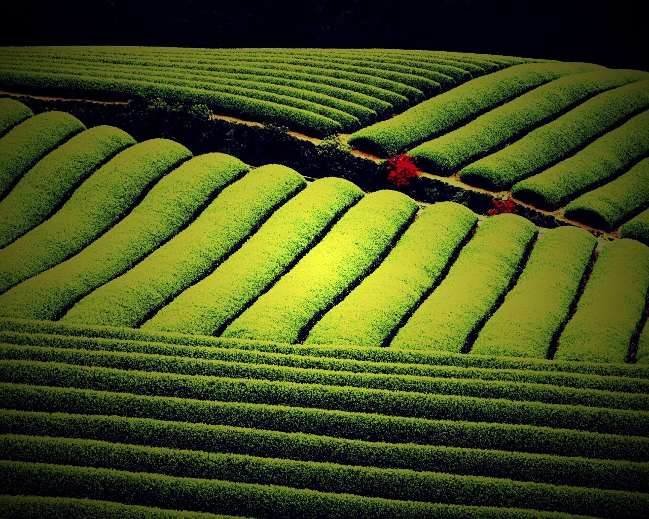 Красивые гряды обои