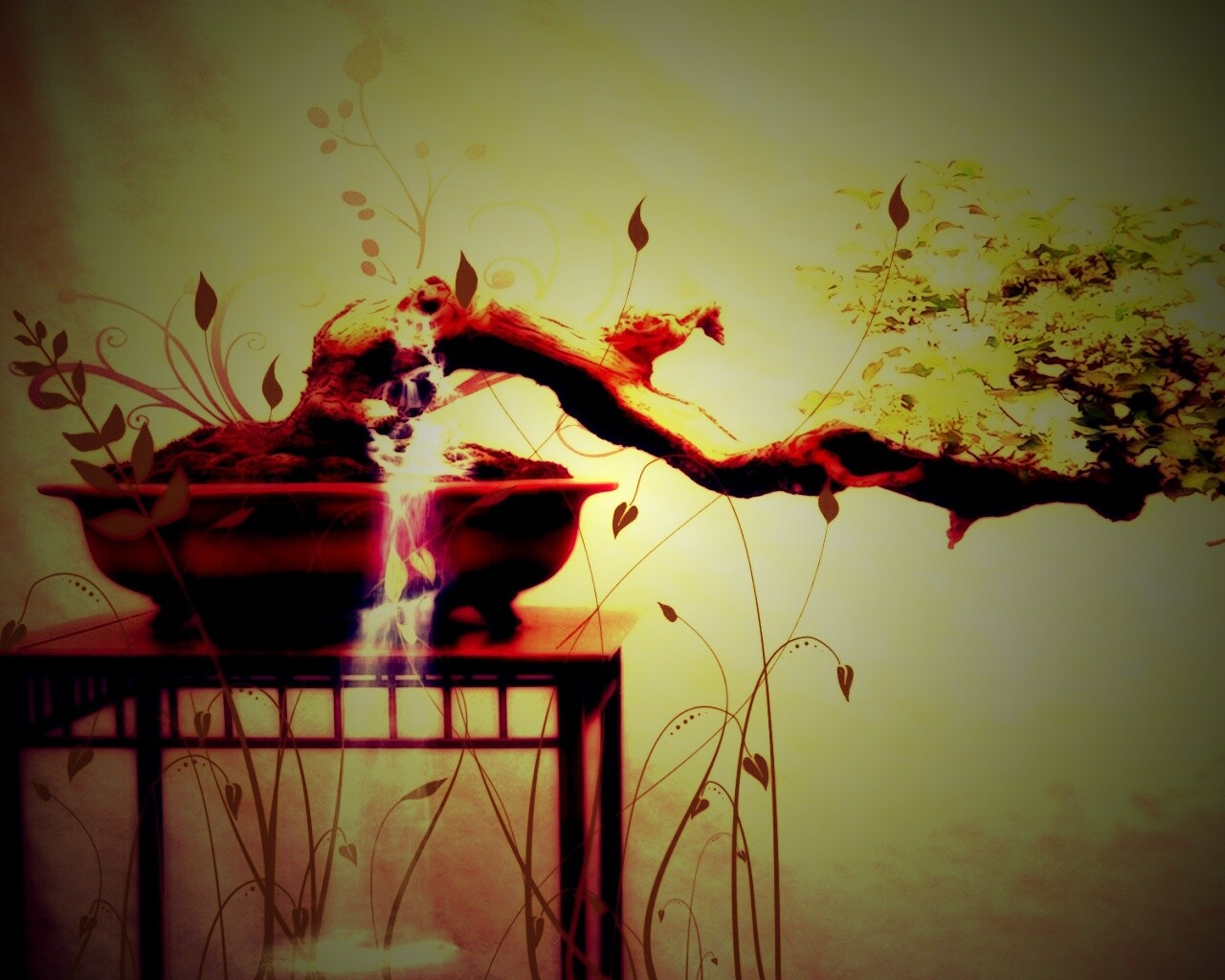 Карликовое дерево обои