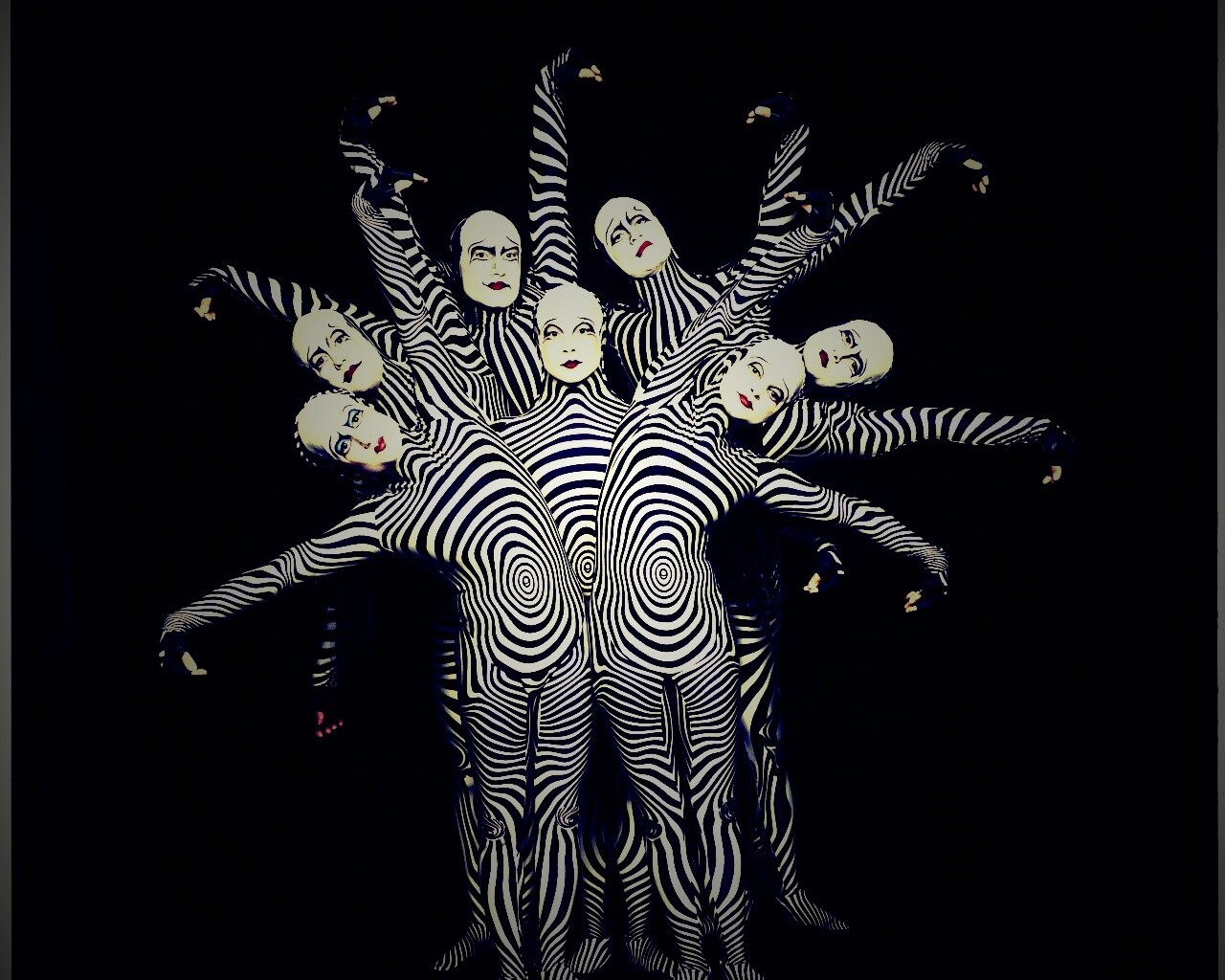 Зеброиды (актеры цирка дю солей) обои