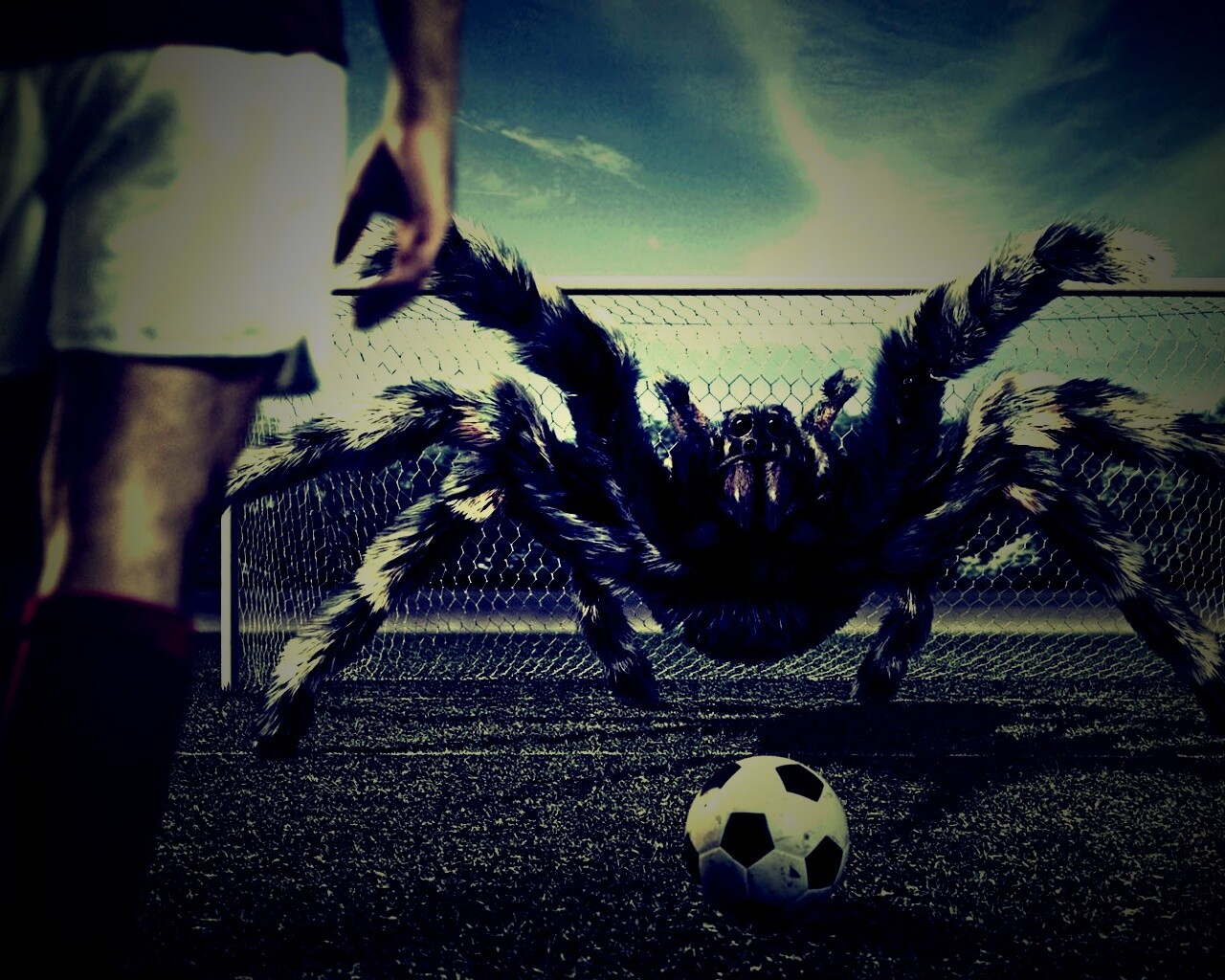 Вратарь обои