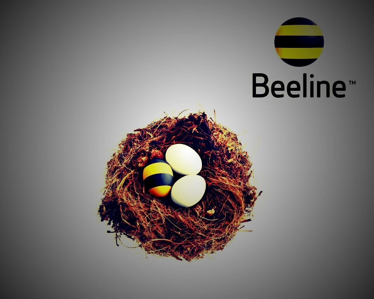 Гнездо beeline обои