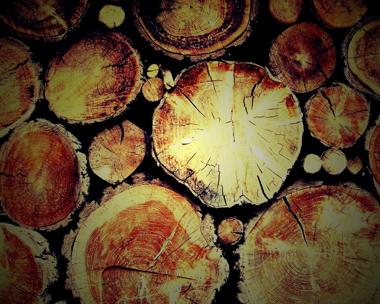 Древесный спил обои