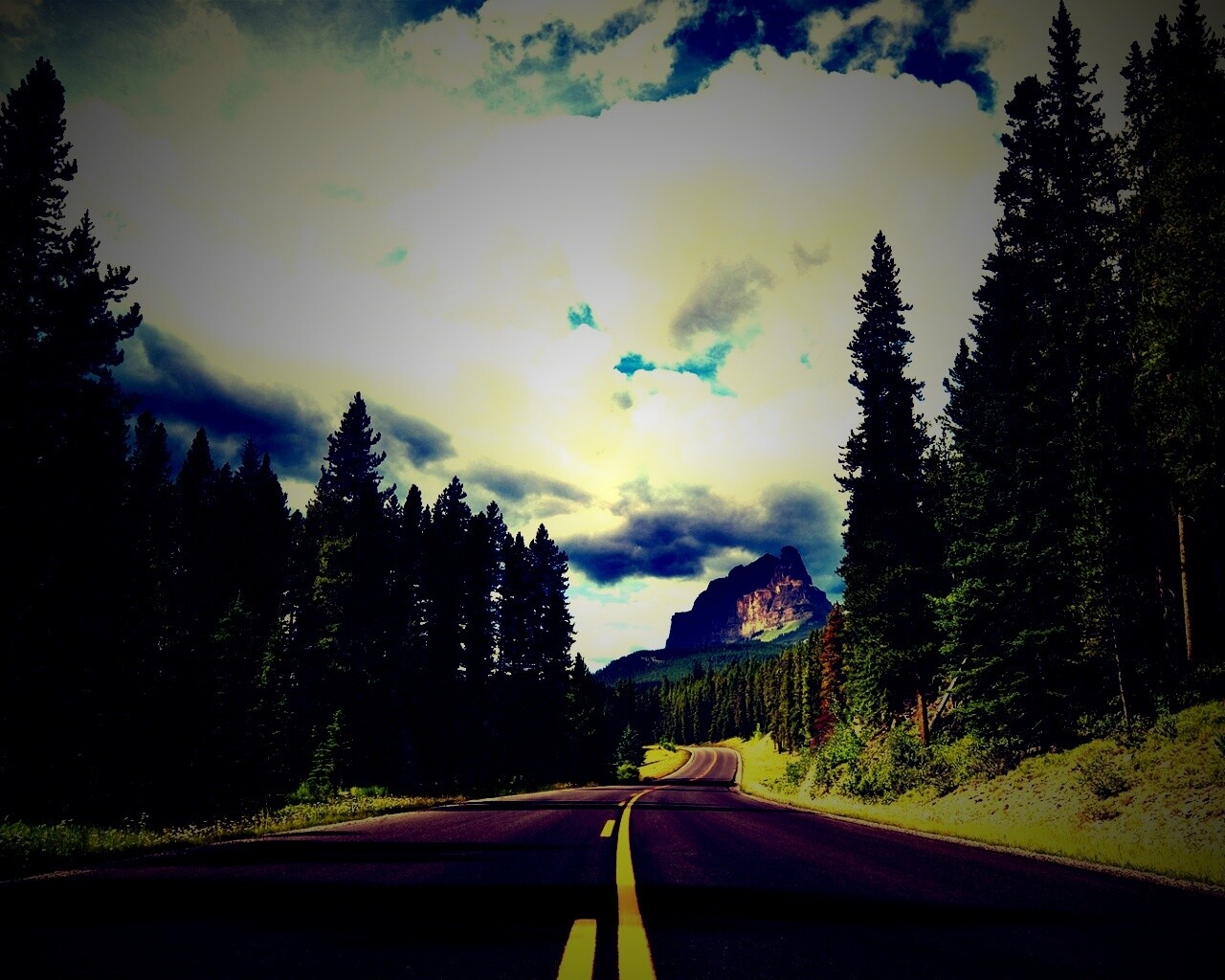 Красивая лесная дорога обои