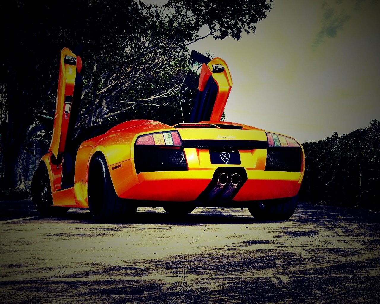 Оранжевая Мюрселаго обои