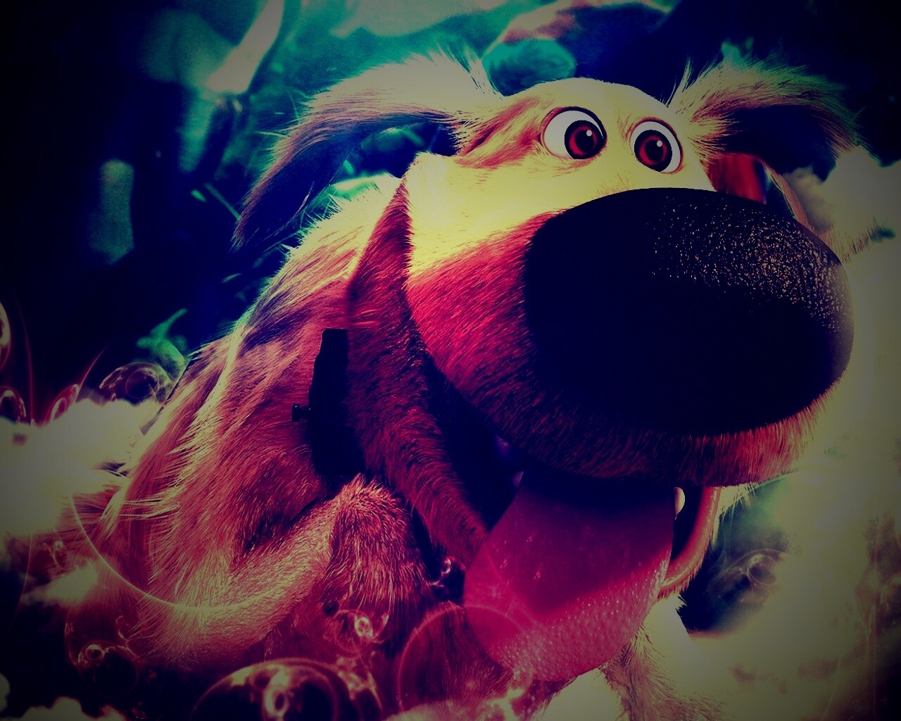 Собака из мультфильма Up обои