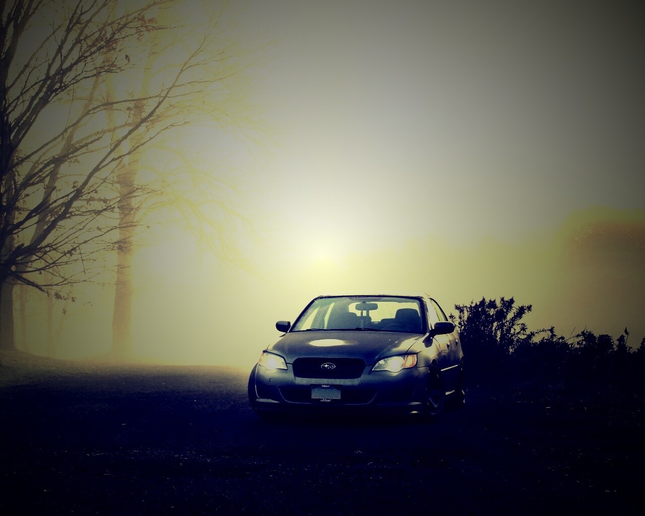 Лексус обои