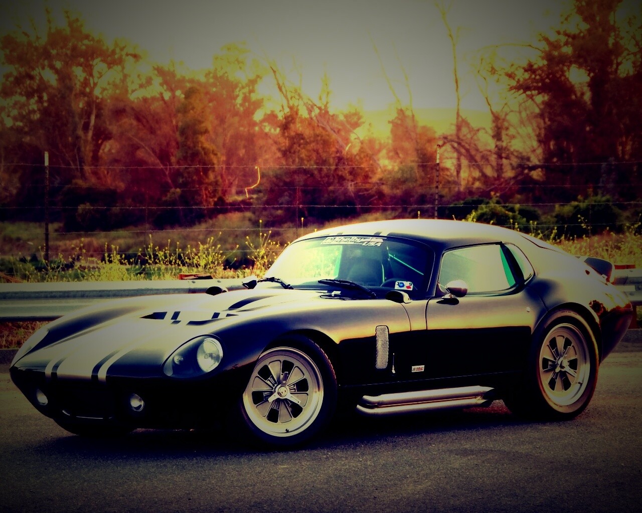 Shelby Daytona обои