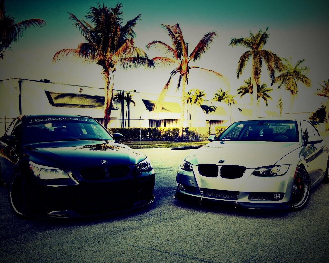 Две БМВ обои