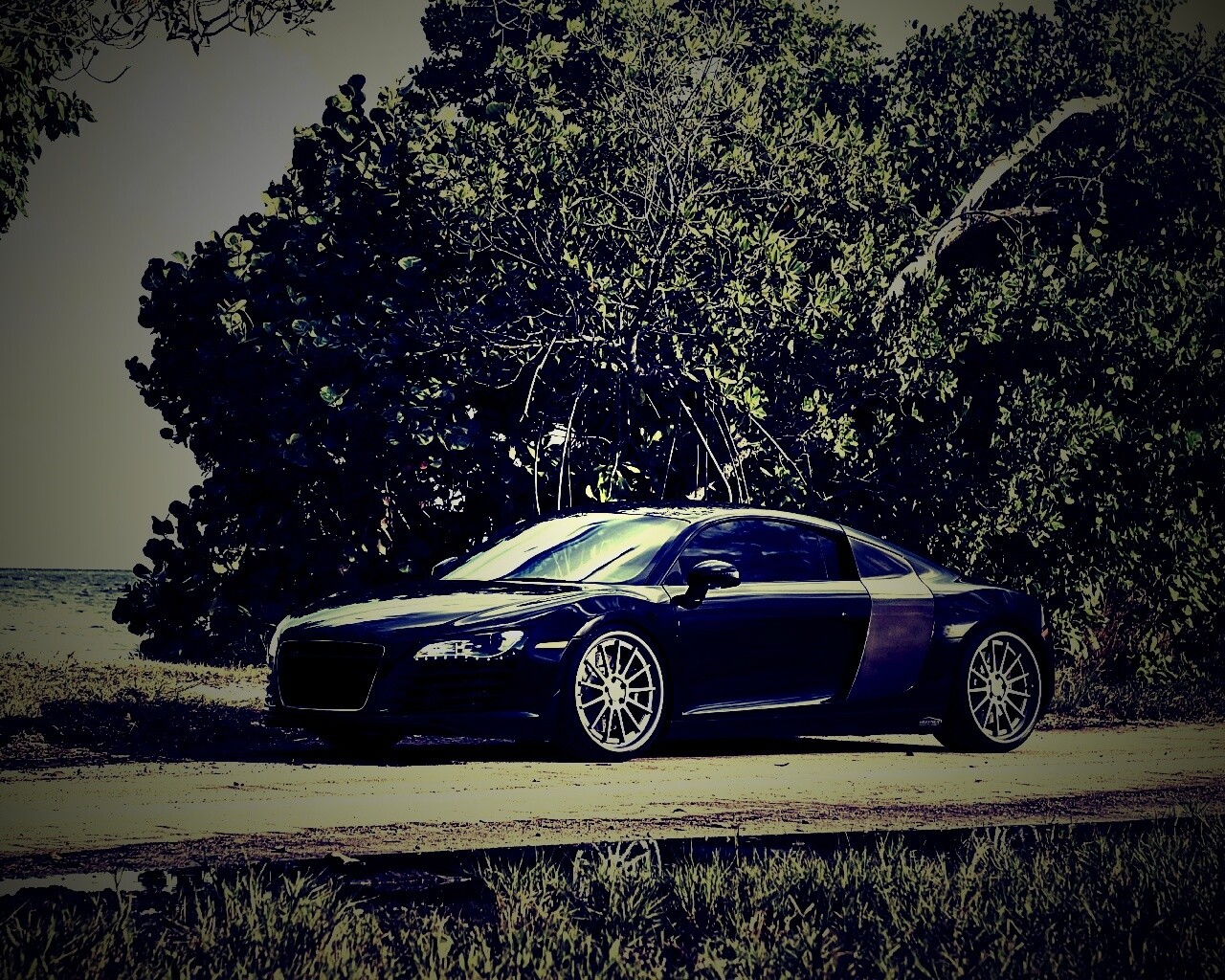 Audi R8 обои