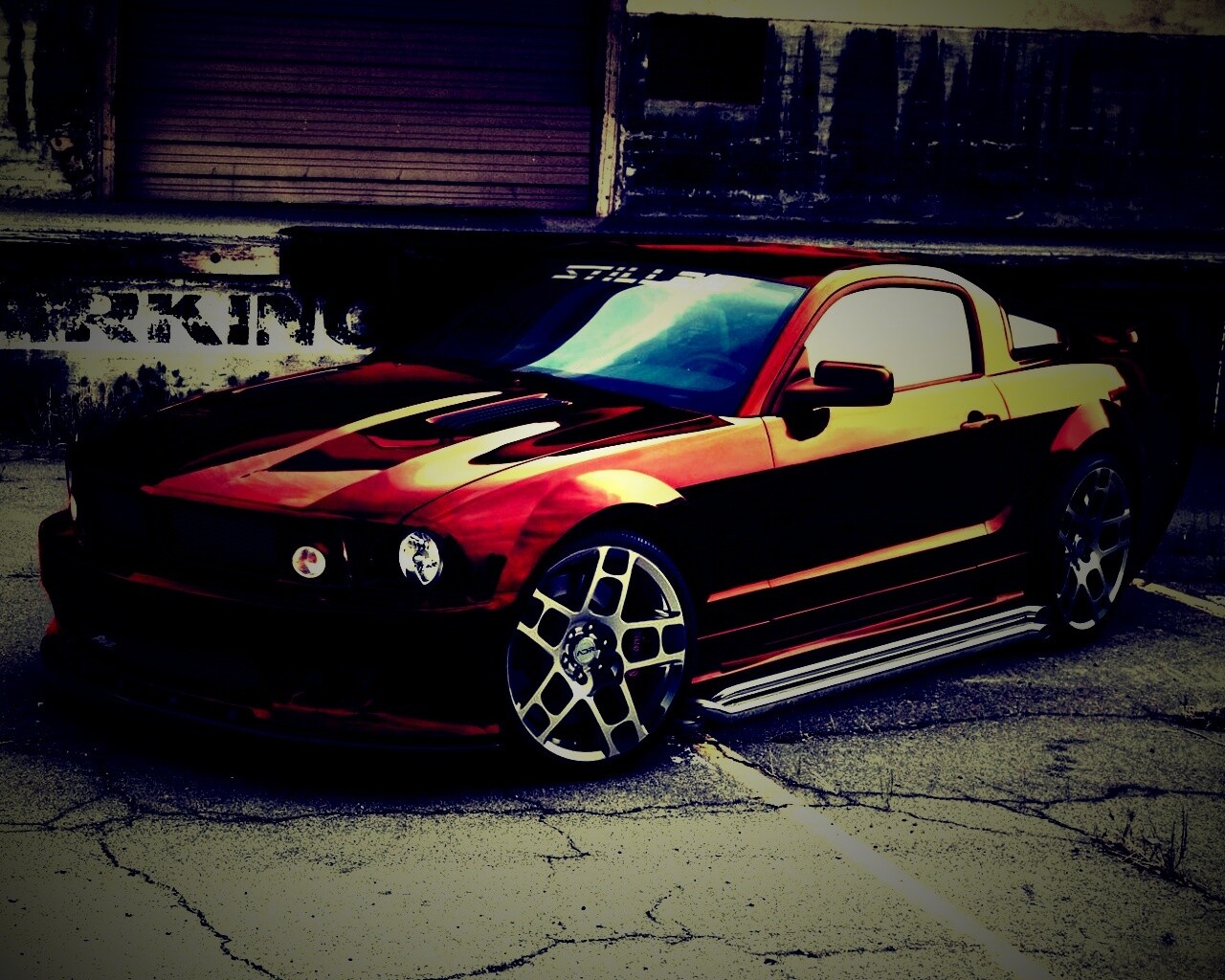 Форд Мустанг обои