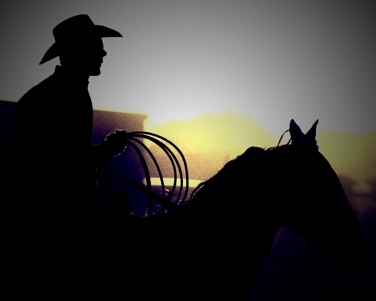 Ковбой с лассо на коне обои