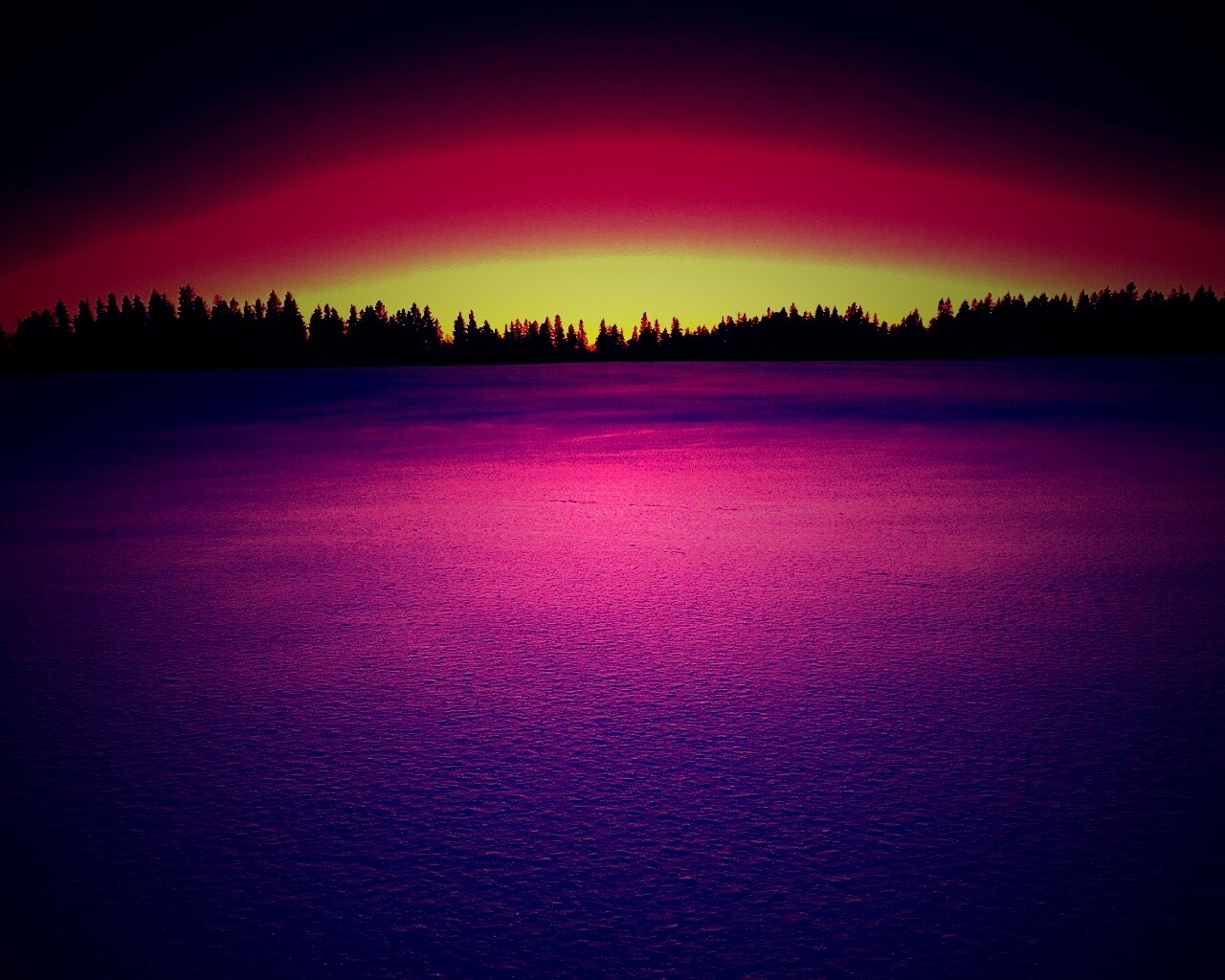 Восход над заснеженным лесом обои