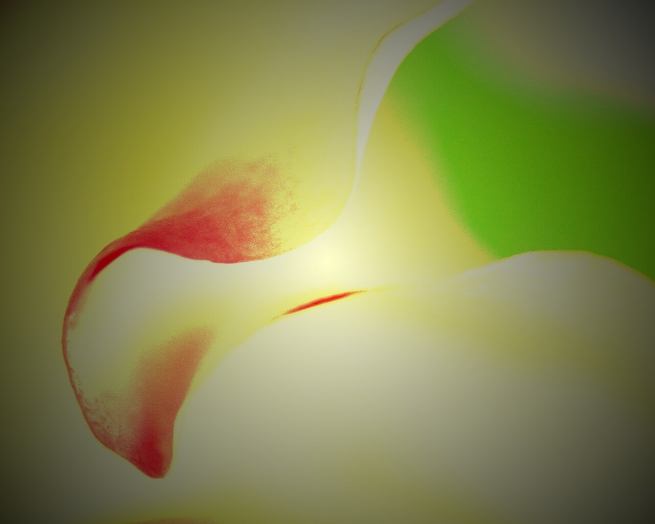 Оттенки природы обои