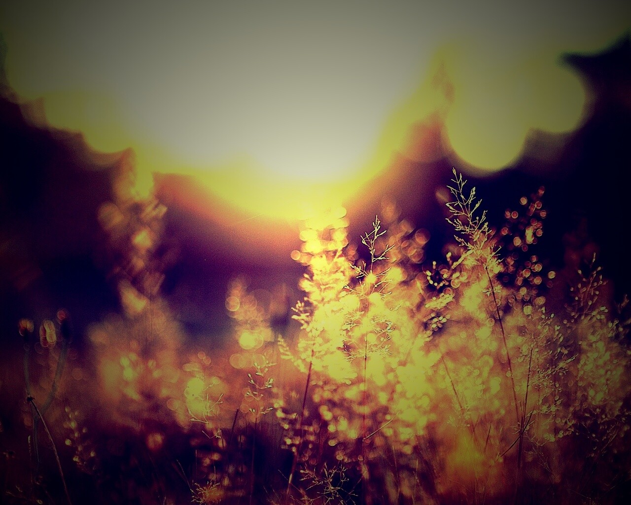 Посмотри на этот мир обои