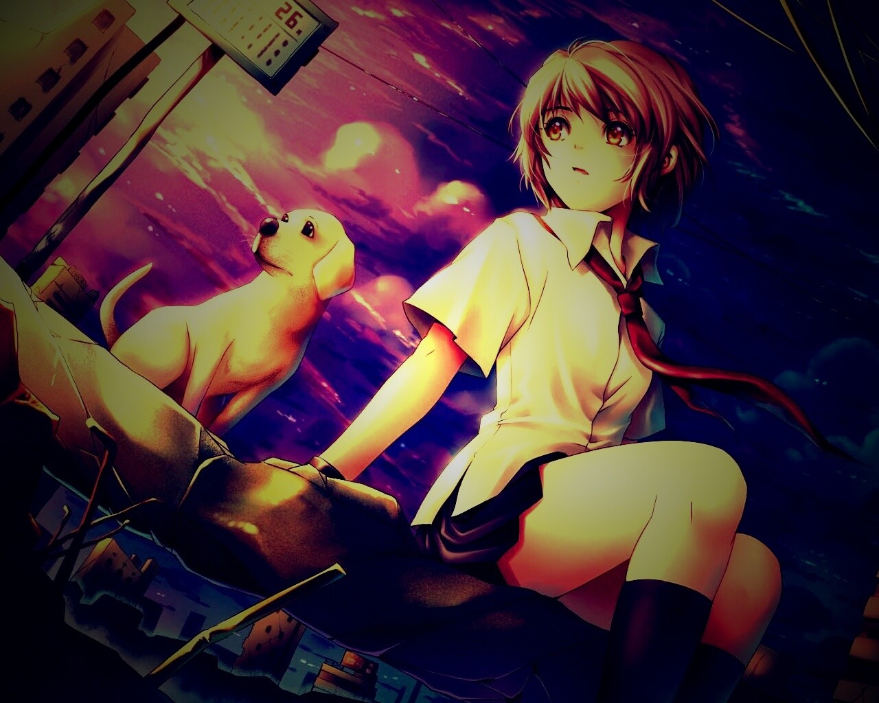 Девочка с собакой обои