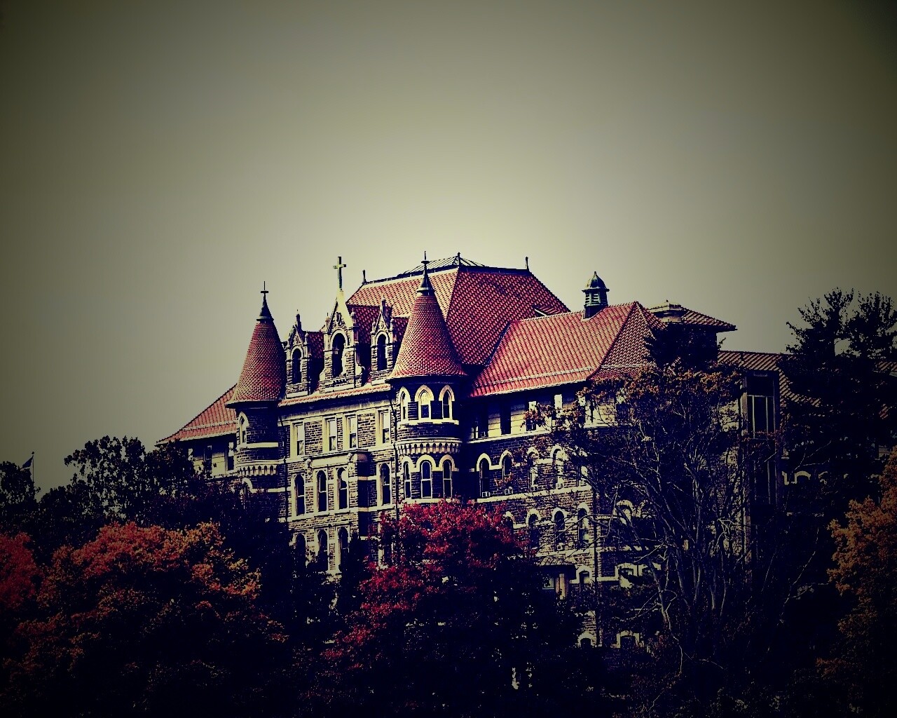 Колледж обои