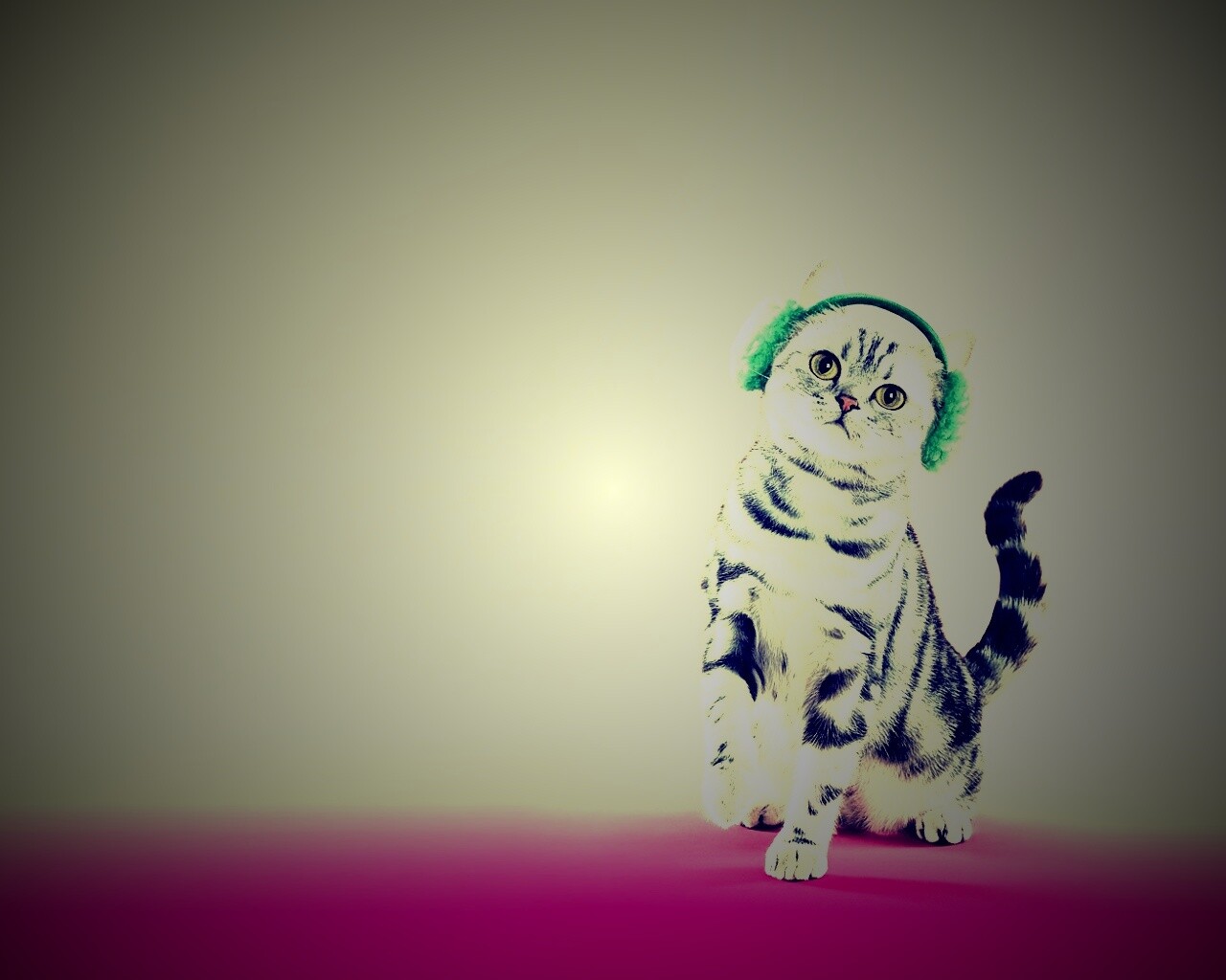 Кот в зеленых наушниках обои