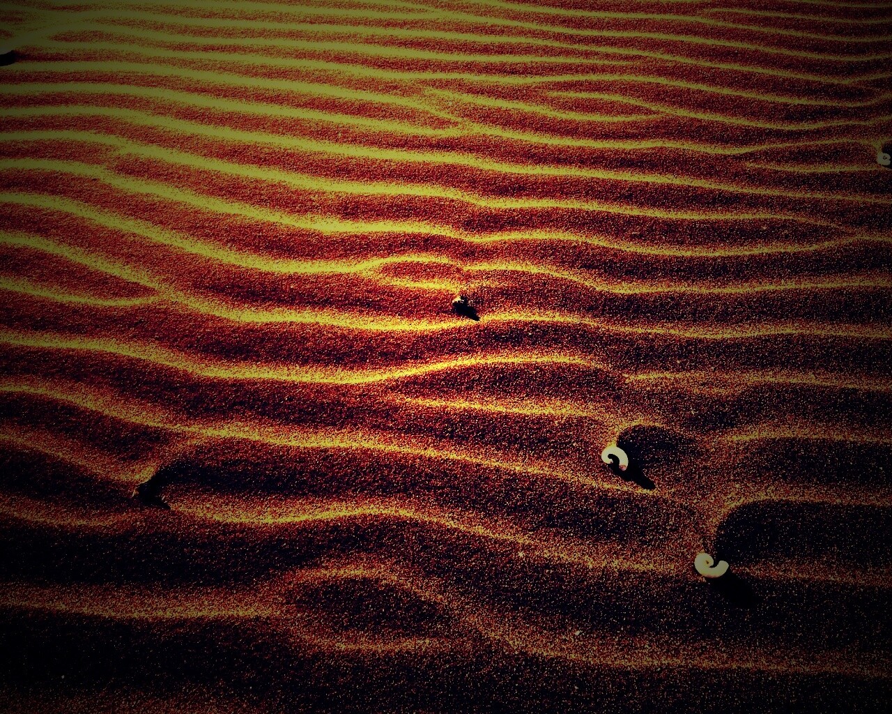 Песок и раковины обои